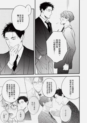 第38頁圖