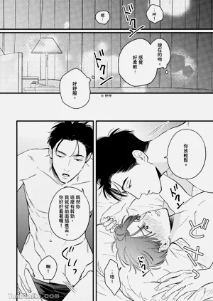 第85頁圖