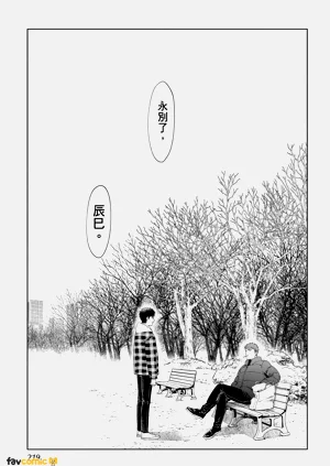 第217页图