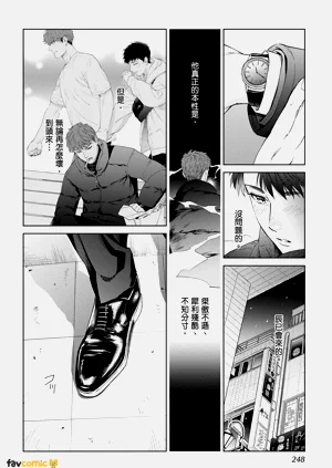 第246页图