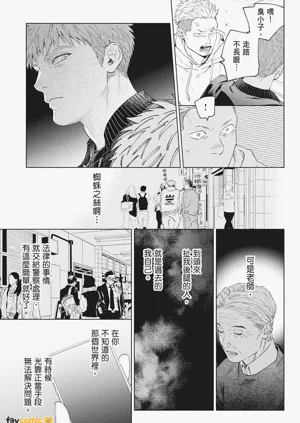 第217页图
