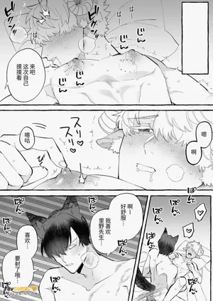 第22頁圖