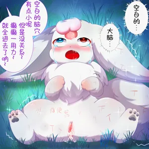 第33頁圖