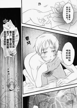 第28頁圖