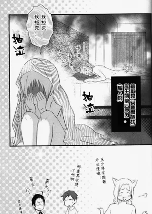 第33頁圖