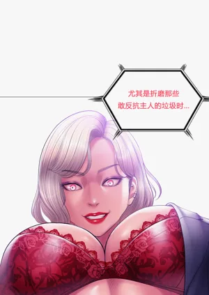 第17页图