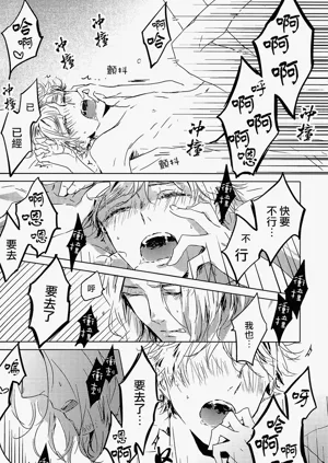 第42頁圖