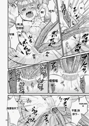 第25頁圖
