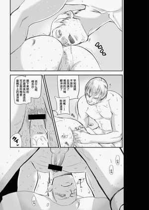 第33页图