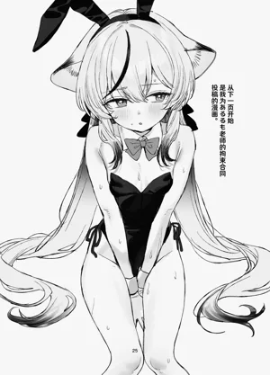 第25页图
