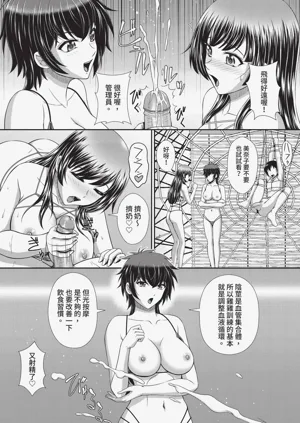 第164頁圖