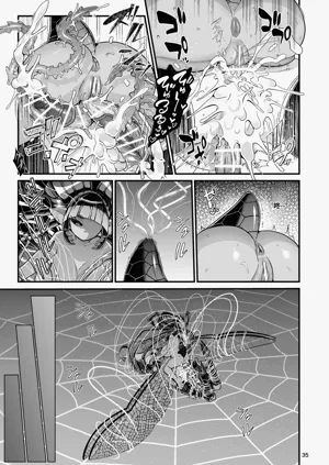 第35頁圖