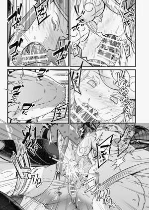 第73頁圖