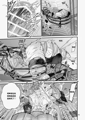 第75頁圖