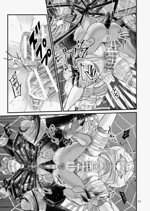 第77頁圖