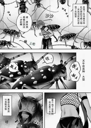 第6页图