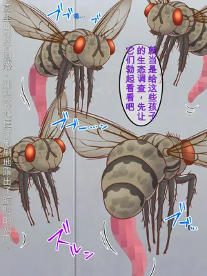 第19页图