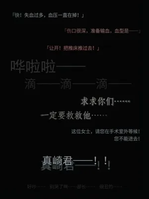 第17页图