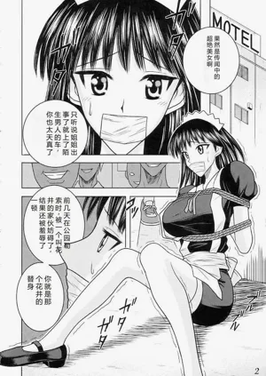 第3页图