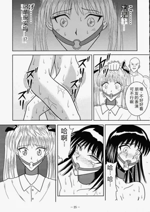 第24页图