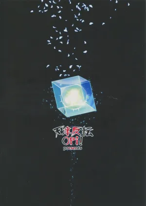 第24頁圖