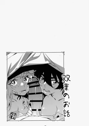 第46頁圖