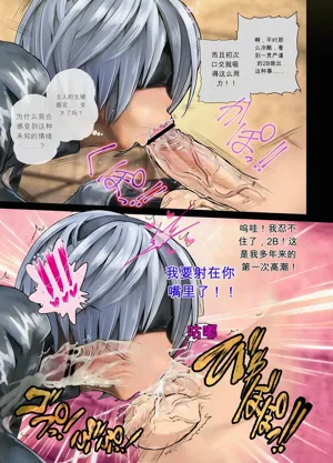 第11页图