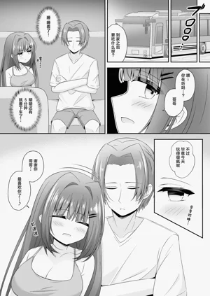 第20页图