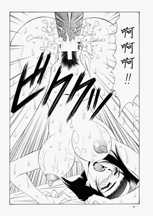 第25頁圖