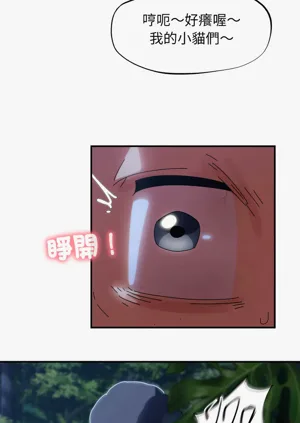 第68頁圖