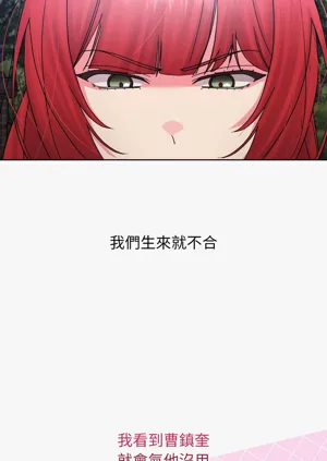 第127頁圖