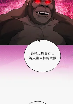 第237頁圖