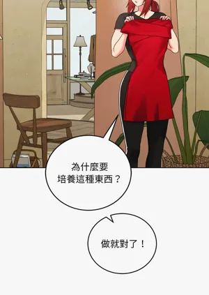 第273頁圖