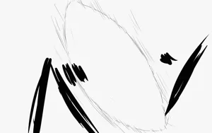 第249页图