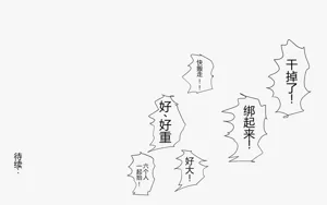 第335页图