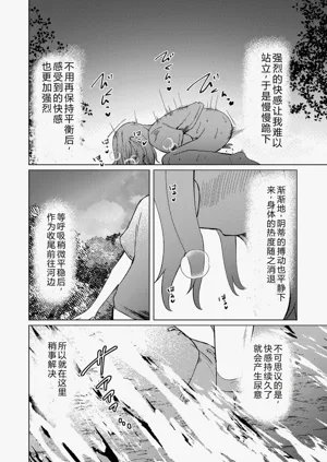 第17页图