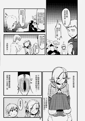 第25页图