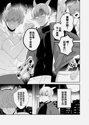 第4页图