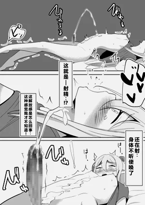 第20頁圖