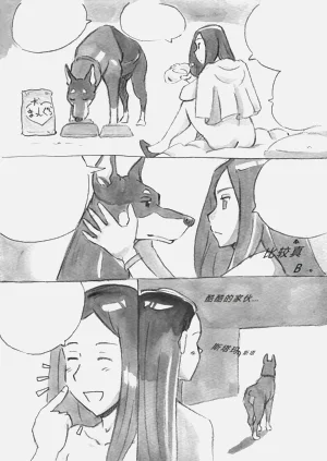 第219頁圖