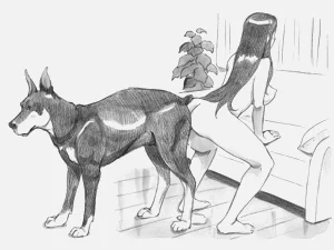 第246頁圖