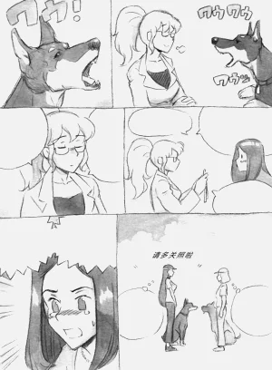 第252頁圖