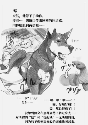 第33頁圖