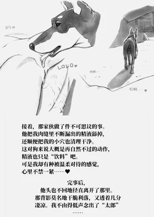第37頁圖