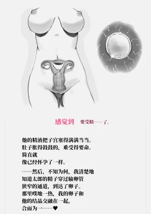 第95頁圖