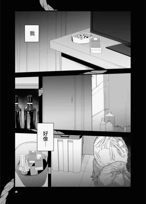 第41页图