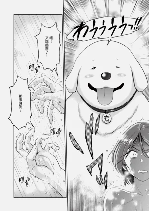 第658页图
