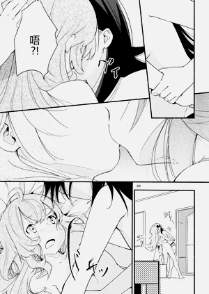 第33頁圖