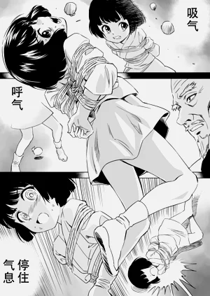 第325頁圖