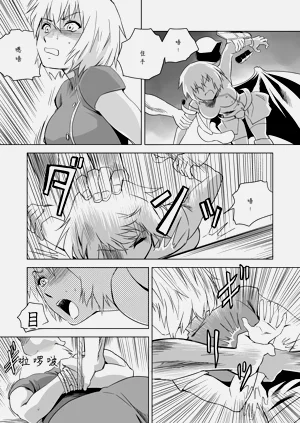 第527頁圖